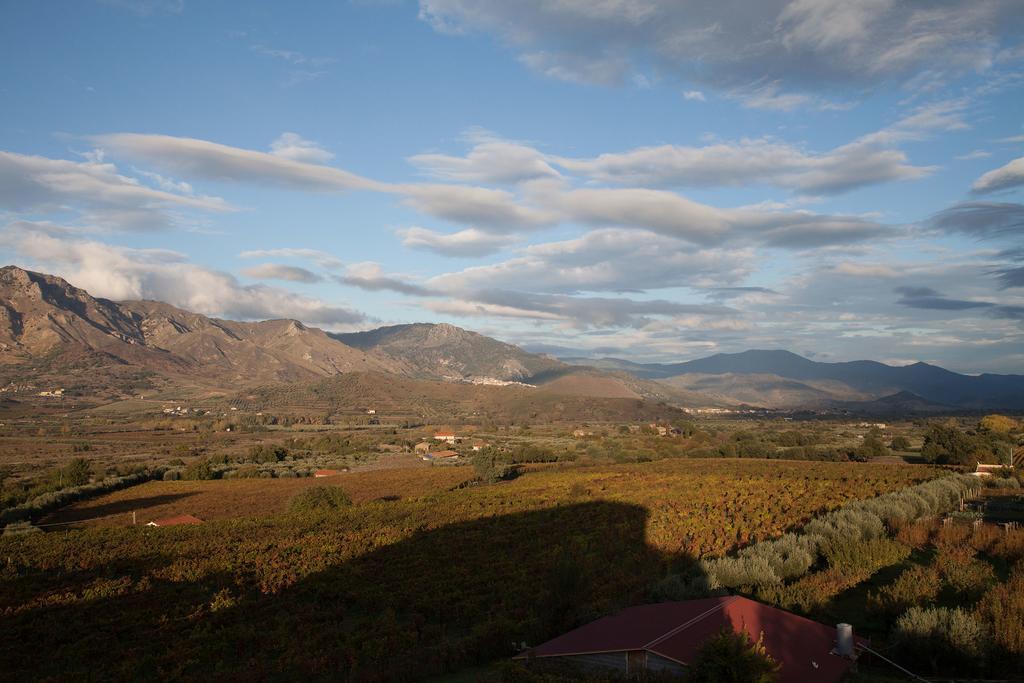 Hostal Feudo Vagliasindi -Wine Experience- Randazzo Exterior foto