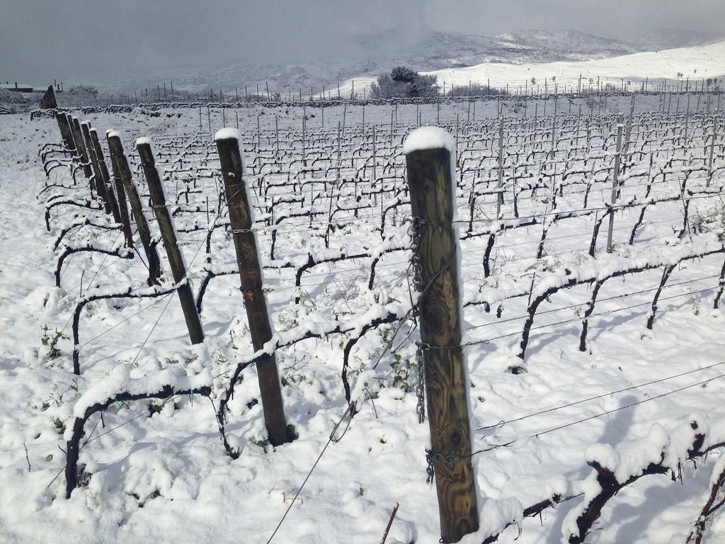 Hostal Feudo Vagliasindi -Wine Experience- Randazzo Exterior foto